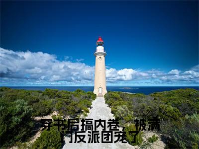 穿书后搞内卷，被满门反派团宠了（风瑶）全文免费阅读无弹窗_风瑶最新小说精彩推荐