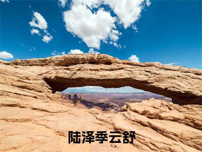陆泽季云舒（陆泽季云舒）在哪里可以免费看-陆泽季云舒（陆泽季云舒）小说全章节免费阅读