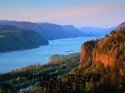 谢韵赵景免费小说-穿成嫡女，这太子舔狗我不当了！小说完整版阅读
