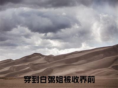 穿到白粥姐被收养前，这养女我来当( 许沁孟怀瑾)全文免费阅读无弹窗大结局_（ 许沁孟怀瑾）的小说（穿到白粥姐被收养前，这养女我来当）最新章节列表