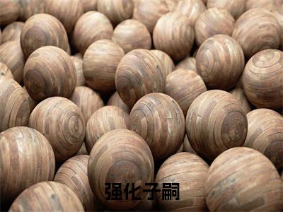 强化子嗣，我的女儿都是极品仙师( 李小君李雨菲)全文免费读无弹窗大结局_（ 李小君李雨菲免费小说）强化子嗣，我的女儿都是极品仙师无弹窗最新章节列表_笔趣阁（ 李小君李雨菲）