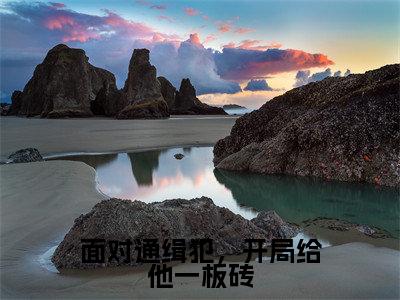 苏墨面对通缉犯，开局给他一板砖全文免费完整版,苏墨最新章节完整版阅读