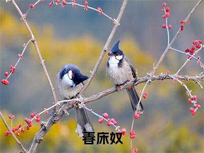 春娘子小说全文免费阅读_春床奴（春娘子）最新章节列表笔趣阁