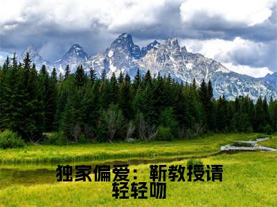 小说独家偏爱：靳教授请轻轻吻免费在线阅读-小说主角叫靳宴时宁的小说完整版免费读全文