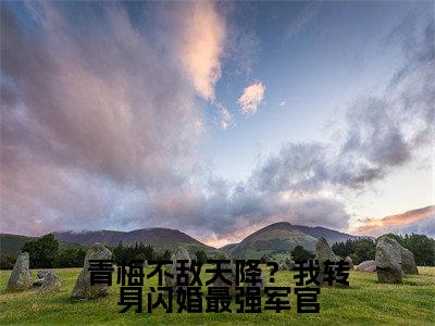  武景艳陆承宽知乎小说全文免费阅读_（ 武景艳陆承宽）青梅不敌天降？我转身闪婚最强军官知乎小说最新章节列表笔趣阁