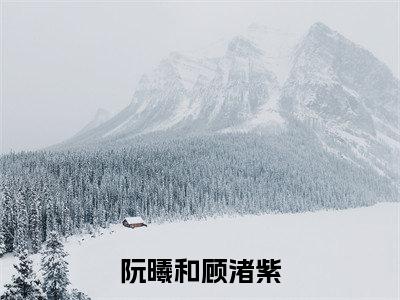 阮曦和顾渚紫（顾渚紫阮曦和）小说全文免费阅读大结局-阮曦和顾渚紫免费阅读无弹窗大结局