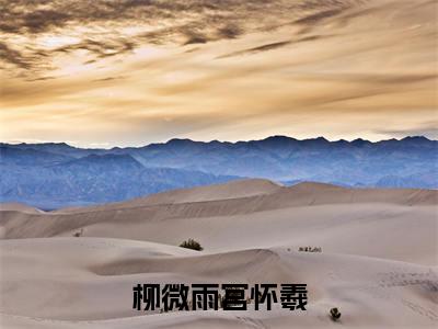 宫怀羲柳微雨小说免费阅读无弹窗《柳微雨宫怀羲》_柳微雨宫怀羲全文阅读宫怀羲柳微雨