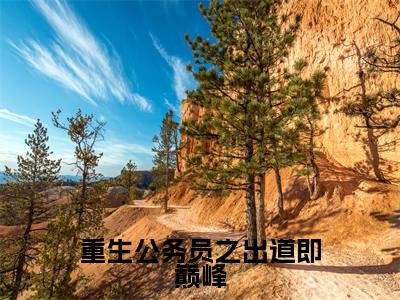 小说《重生公务员之出道即巅峰》全文免费阅读无弹窗-重生公务员之出道即巅峰（赵殳岩）小说全文在线赏析_笔趣阁