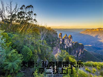 大唐：私奔错带长乐，李二找上门全文免费在线阅读_（大唐：私奔错带长乐，李二找上门免费阅读无弹窗）秦淮全文免费完结版阅读（大唐：私奔错带长乐，李二找上门）