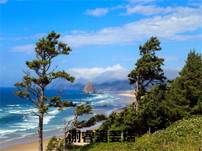 （谢睿湄姜瑞）最新免费小说大结局-小说谢睿湄姜瑞姜瑞谢睿湄全文免费在线阅读