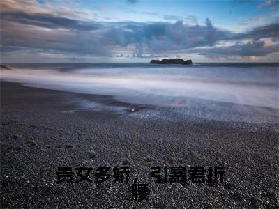 姜柠（贵女多娇，引暴君折腰）全文免费阅读无弹窗大结局_姜柠贵女多娇，引暴君折腰_笔趣阁