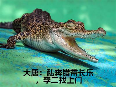 大唐：私奔错带长乐，李二找上门（秦淮）全文免费阅读无弹窗完整版，(大唐：私奔错带长乐，李二找上门)免费阅读全文最新章节列表_笔趣阁