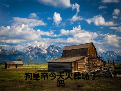 小说（狗皇帝今天火葬场了吗）在线赏析_ 谢蕴殷稷txt小说在线阅读笔趣阁