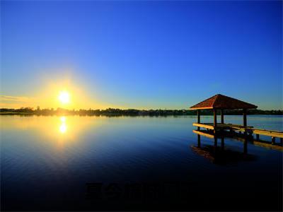 夏今棉陆璟玉小说(陆璟玉夏今棉)全文免费阅读无弹窗大结局_(夏今棉陆璟玉小说免费阅读)陆璟玉夏今棉无弹窗最新章节列表_笔趣阁（陆璟玉夏今棉）
