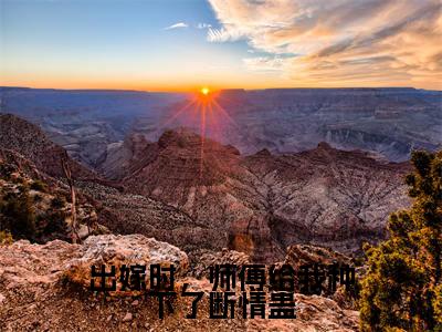 梦绾宁谢北宸（出嫁时，师傅给我种下了断情蛊）小说免费阅读_梦绾宁谢北宸精选小说全文阅读（出嫁时，师傅给我种下了断情蛊）