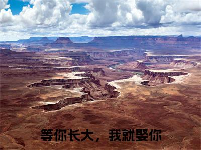 唐希西顾梓戚全文免费阅读无弹窗大结局_（等你长大，我就娶你阅读无弹窗）等你长大，我就娶你最新章节列表_笔趣阁