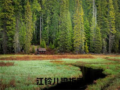 江铃儿梁祈枭小说限时免费,梁祈枭江铃儿完结版小说阅读无弹窗_笔趣阁
