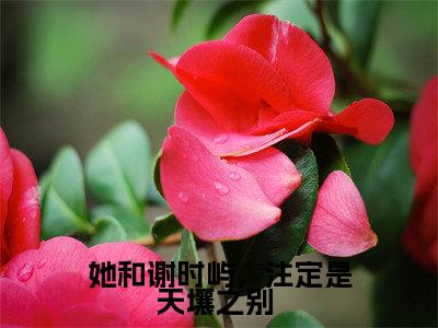 她和谢时屿，注定是天壤之别 （江怀玉谢时屿）全文免费阅读无弹窗大结局_江怀玉谢时屿小说免费最新章节列表_笔趣阁