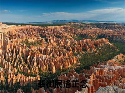 裴御宸洛芷念小说免费阅读 洛芷念裴御宸免费阅读无弹窗小说
