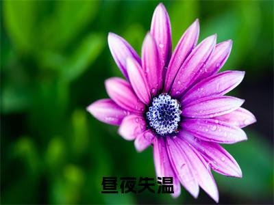 昼夜失温已完结小说全集阅读（宋月晚完整版大结局）昼夜失温小说全文阅读笔趣阁