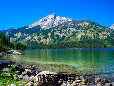 林若微陆行（陆行林若微）全文免费在线阅读_林若微陆行全文免费阅读无弹窗大结局