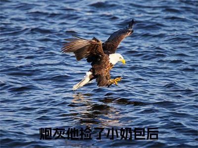 炮灰他捡了小奶包后，气运值爆表在线阅读全文免费阅读无弹窗大结局_ 元清陆枣枣最新章节列表_笔趣阁