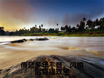 傅总多年不育，闪婚后喜提双宝（司颜傅厉行）全文免费阅读_傅总多年不育，闪婚后喜提双宝最新章节列表言情小说在线阅读