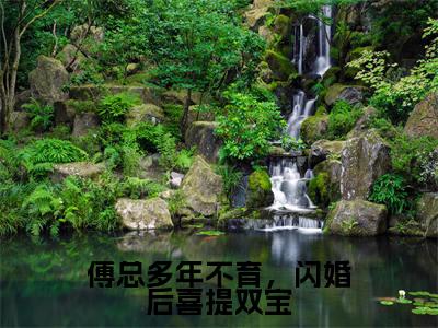 小说傅总多年不育，闪婚后喜提双宝(司颜傅厉行)免费阅读-小说傅总多年不育，闪婚后喜提双宝全文在线赏析