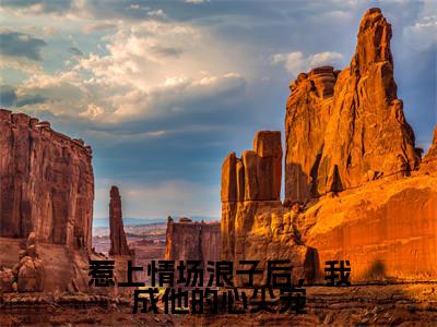 陆怀启姜婉（惹上情场浪子后，我成他的心尖宠）全文免费阅读无弹窗大结局惹上情场浪子后，我成他的心尖宠（陆怀启姜婉）