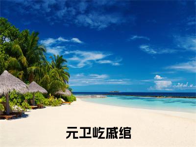 元卫屹戚绾（元卫屹戚绾）全文免费阅读无弹窗大结局_（元卫屹戚绾无弹窗）_笔趣阁