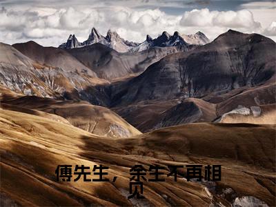 小说傅先生，余生不再相见 免费阅读-（温婉傅景琛）傅先生，余生不再相见 最新章节小说阅读-笔趣阁