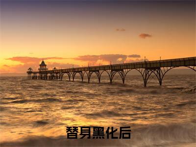  苏云七萧天睿(替身黑化后，掀了渣男的江山)全文免费阅读无弹窗大结局_替身黑化后，掀了渣男的江山小说在线阅读无删减