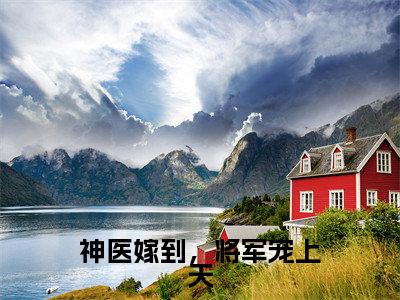 神医嫁到，将军宠上天小说免费阅读 沐南婉完整版全文大结局