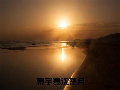 秦宇寒沈楚月小说（秦宇寒沈楚月）全文免费阅读无弹窗大结局_秦宇寒沈楚月全文免费完结版阅读（秦宇寒沈楚月）