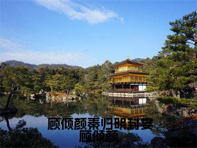 封宴顾倾颜（ 顾倾颜秦归明）全文免费阅读无弹窗_ 顾倾颜秦归明小说_笔趣阁