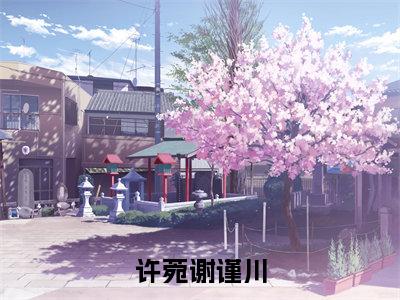 许菀谢谨川（许菀谢谨川）全文免费阅读无弹窗大结局_ 许菀谢谨川最新章节列表_笔趣阁