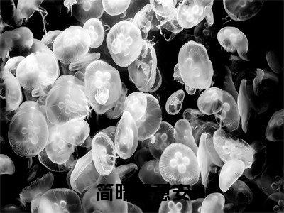 简晴穆意安（穆意安简晴）全文免费阅读无弹窗大结局_穆意安简晴小说免费最新章节列表_笔趣阁