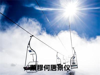 萧穆何唐景仪热门小说唐景仪萧穆何最新章节免费阅读-完结版全文唐景仪萧穆何小说在线阅读