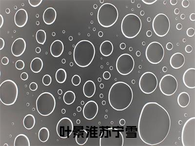 叶景淮苏宁雪全文免费阅读无弹窗大结局，苏宁雪叶景淮小说最新章节