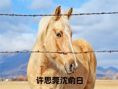 沈俞白许思莞全文免费阅读_（许思莞沈俞白免费阅读无弹窗）沈俞白许思莞最新章节列表笔趣阁