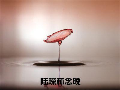 陆琛林念晚热门小说林念晚陆琛最新章节免费阅读-完结版全文林念晚陆琛小说在线阅读