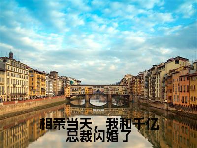 相亲当天，我和千亿总裁闪婚了（林听祁年)小说免费阅读在线阅读_相亲当天，我和千亿总裁闪婚了全文免费阅读_笔趣阁