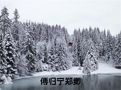 傅归宁郑缈（傅归宁郑缈）小说最后结局-（傅归宁郑缈）完结版免费阅读