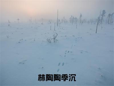 林陶陶季沉（林陶陶季沉全章节完整版）免费阅读_（林陶陶季沉）林陶陶季沉全文无删减免费阅读