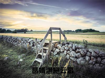 葛婧淇施云慕小说免费阅读 葛婧淇施云慕免费阅读无弹窗小说