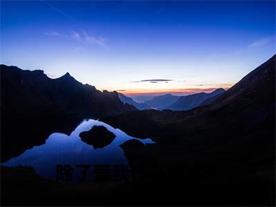 除了爱我什么都给不了你免费小说-（除了爱我什么都给不了你）江云苓穆启淮完结版在线阅读