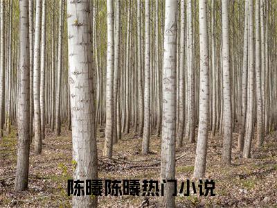 精灵宝可梦之战术大师（ 陈曦陈曦）全网首发最火小说-主角 陈曦陈曦的小说完整版免费阅读