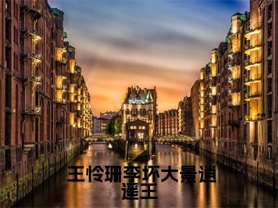 大景逍遥王全文免费阅读无弹窗大结局_（ 王怜珊李坏）大景逍遥王小说免费阅读完整版全文大结局