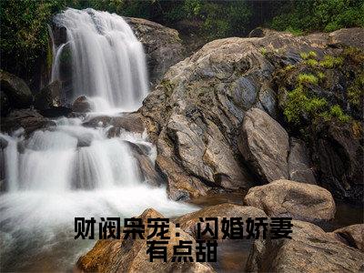 财阀枭宠：闪婚娇妻有点甜（简漾陆易琛）全文免费阅读无弹窗大结局_财阀枭宠：闪婚娇妻有点甜（简漾陆易琛免费小说）最新章节列表笔趣阁（简漾陆易琛）