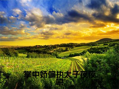 掌中娇偏执太子夜夜哄(白沅沅越庭舟)全文阅读无弹窗大结局_掌中娇偏执太子夜夜哄免费阅读无弹窗最新章节列表